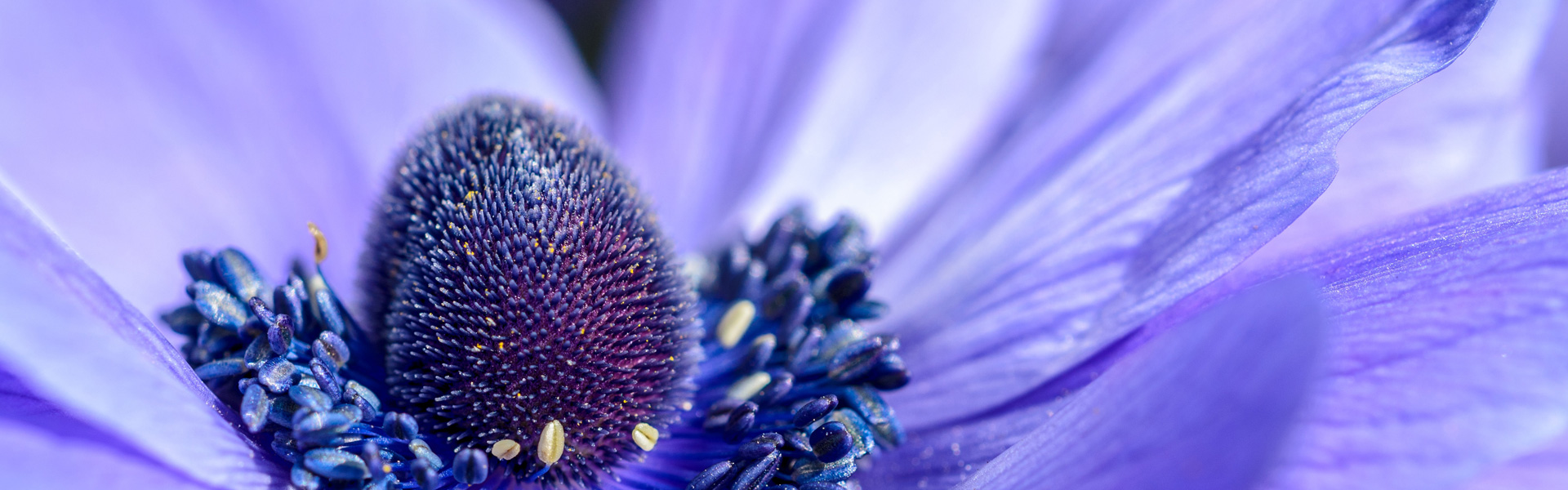 header001